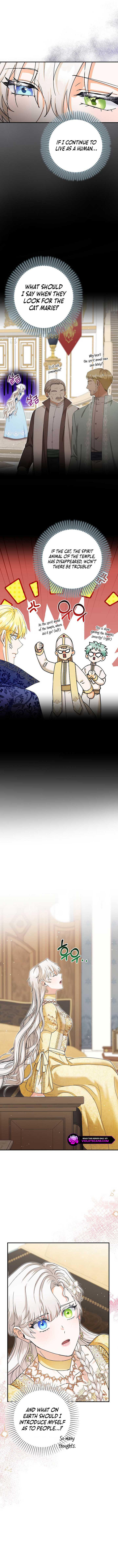 I Became the Emperor's Cat Chapter 42 46 8