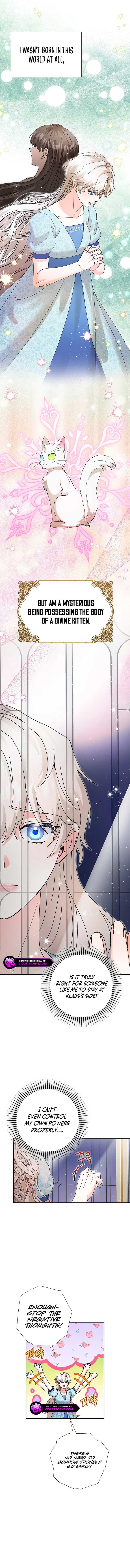 I Became the Emperor's Cat Chapter 48 43 2