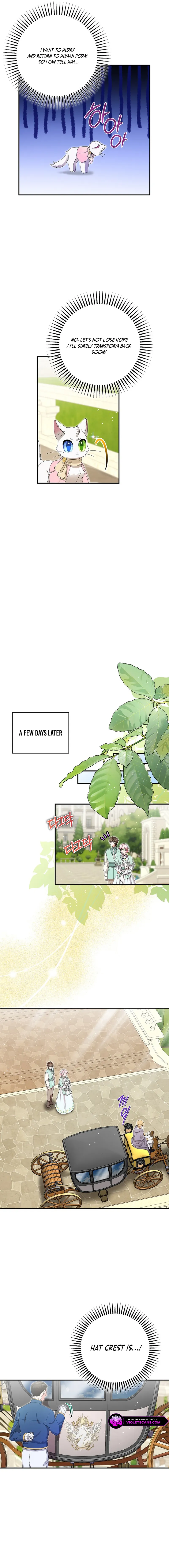 I Became the Emperor's Cat Chapter 52 59 04