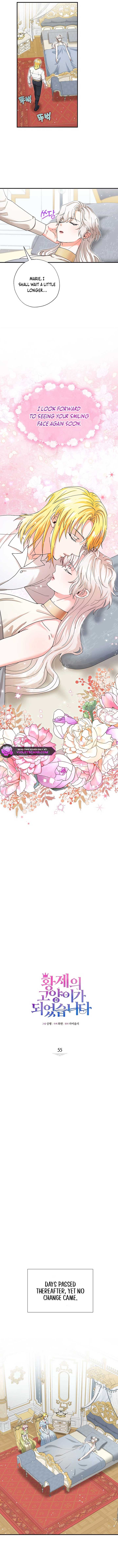 I Became the Emperor's Cat Chapter 55 38 4