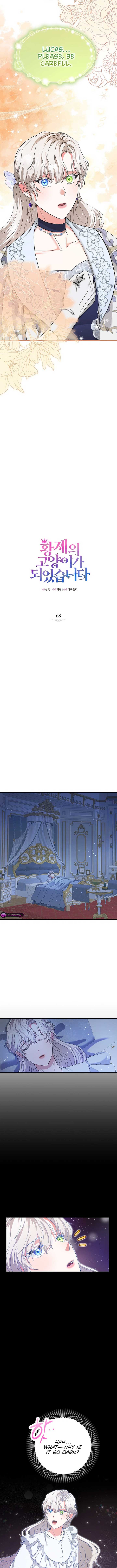 I Became the Emperor's Cat Chapter 63 46 2