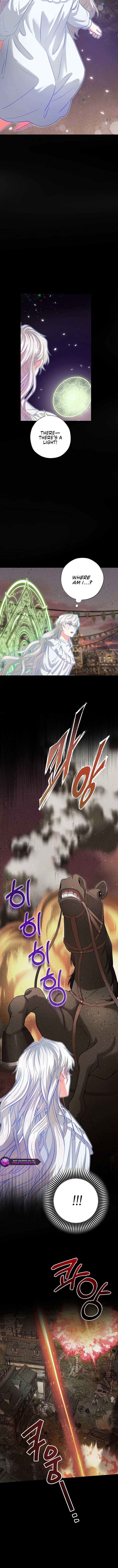 I Became the Emperor's Cat Chapter 63 47 3