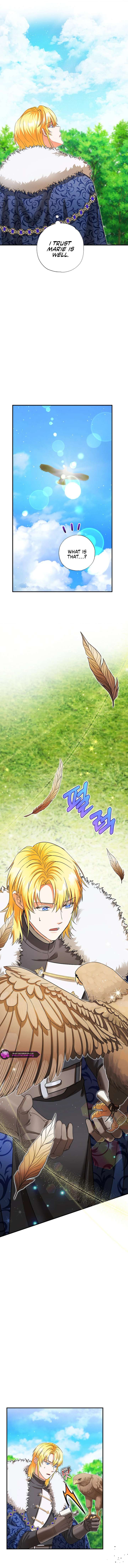 I Became the Emperor's Cat Chapter 65 58 11