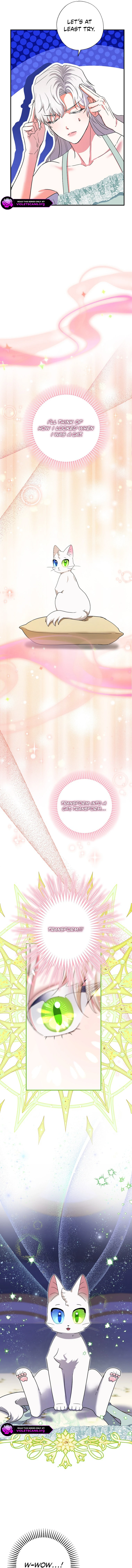 I Became the Emperor's Cat Chapter 72 55 09