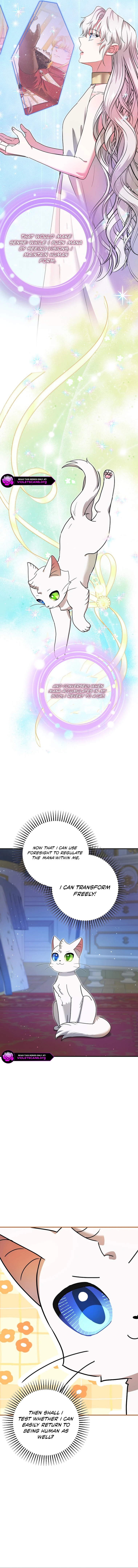 I Became the Emperor's Cat Chapter 72 57 11