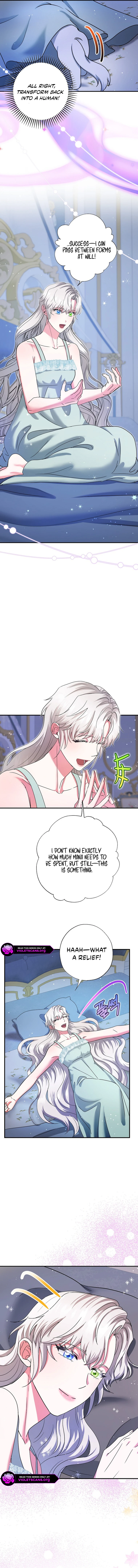 I Became the Emperor's Cat Chapter 72 58 12