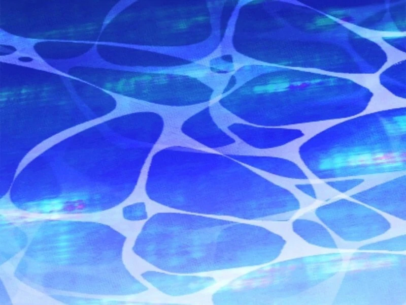 I Became The Male Lead’s Female Friend Chapter 85 356 ch 85 46