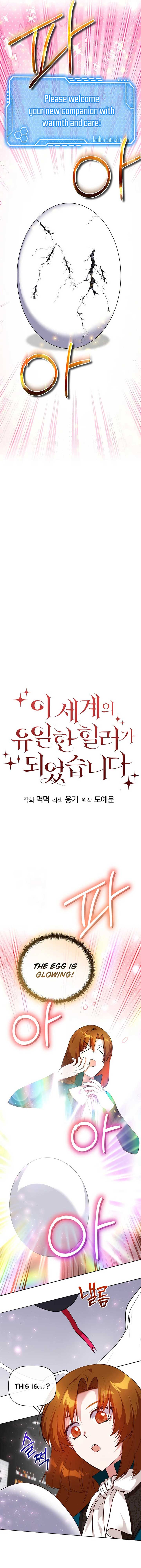 I Became the Only Healer in This World Chapter 53 53 ch 53 4