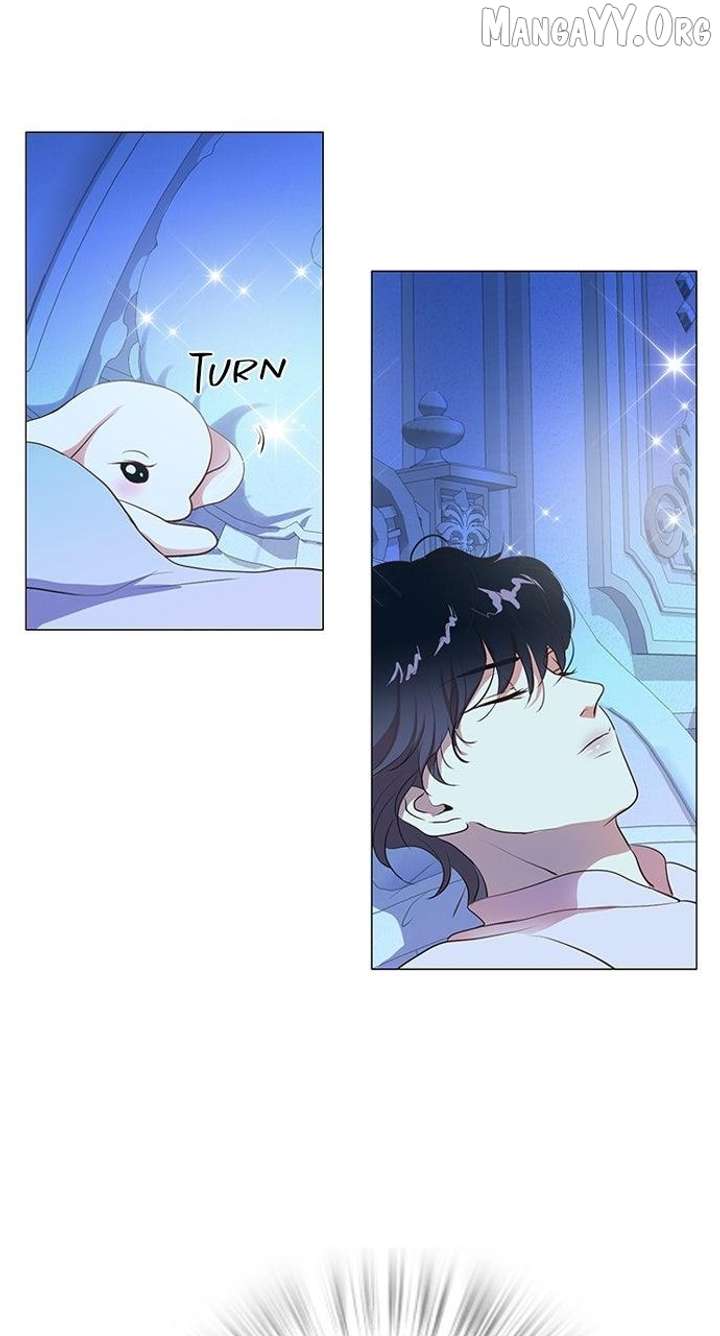 I Became the Rabbit Heroine’s Stepmother Chapter 69 258 62