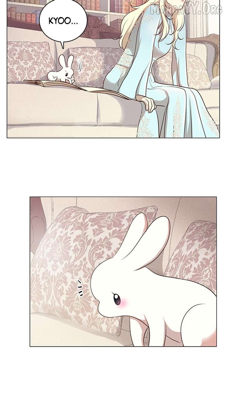 I Became the Rabbit Heroine’s Stepmother Chapter 74 214 24