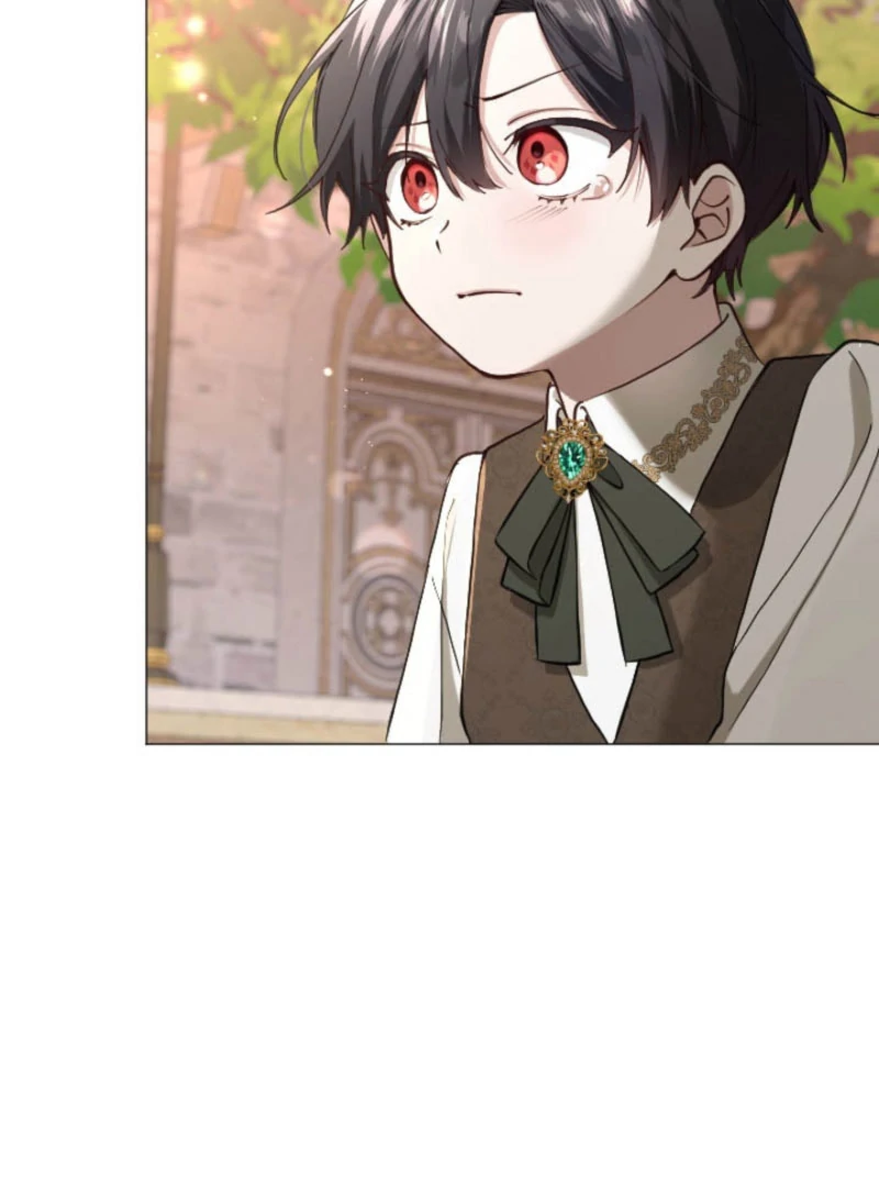 I Became the Stepmother of a Terminally Ill Child Chapter 32 539 118