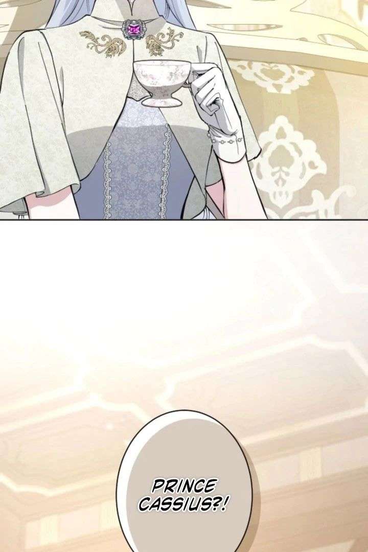 I Became the Stepmother of a Terminally Ill Child Chapter 41 501 113