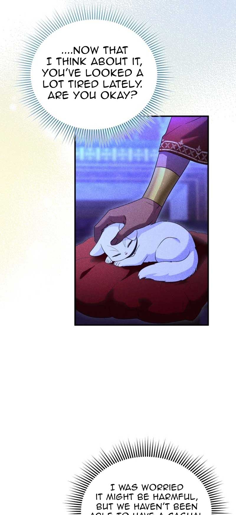 I Became the Sultan’s Precious Cat Chapter 38 237 52