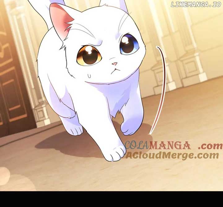I Became the Sultan’s Precious Cat Chapter 55 520 ch 55 105