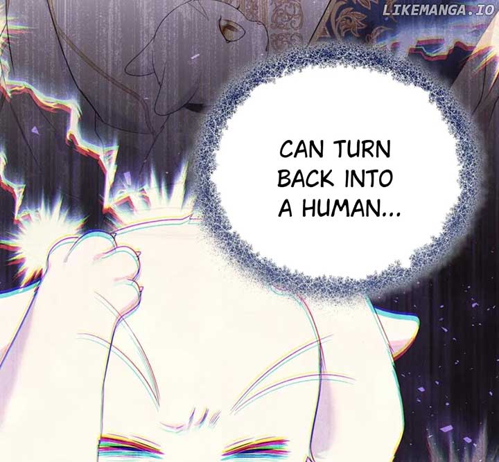 I Became the Sultan’s Precious Cat Chapter 55 538 ch 55 123