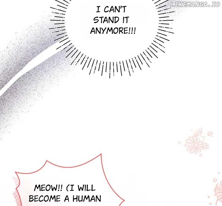 I Became the Sultan’s Precious Cat Chapter 55 462 ch 55 47