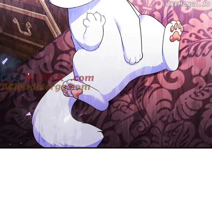 I Became the Sultan’s Precious Cat Chapter 55 471 ch 55 56