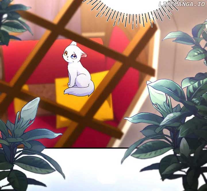 I Became the Sultan’s Precious Cat Chapter 55 486 ch 55 71