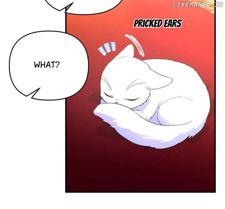 I Became the Sultan’s Precious Cat Chapter 55 506 ch 55 91