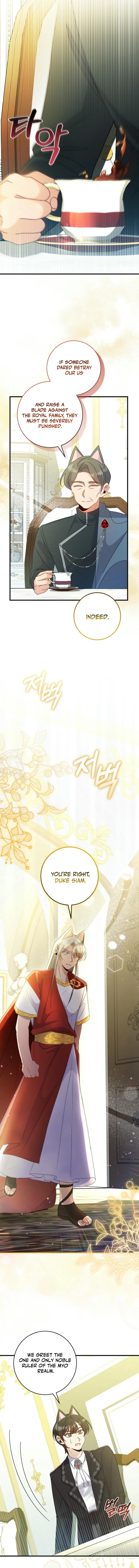 I Became the Wicked Beastman’s Catnip Chapter 11 62 ch 11 7