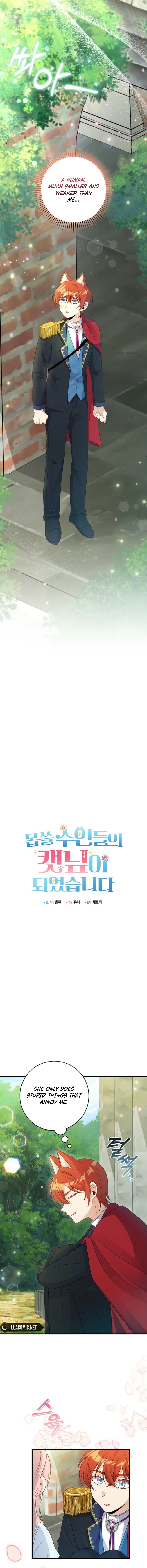 I Became the Wicked Beastman’s Catnip Chapter 9 64 ch 9 3