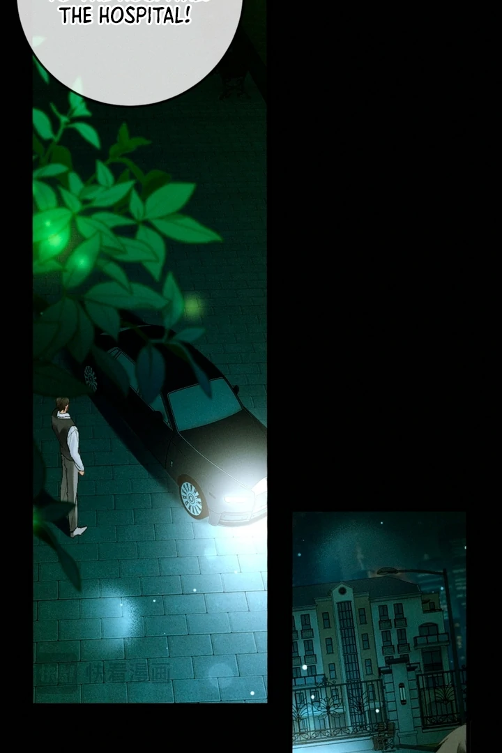 I Can’t Escape From My Contract Husband’s Doting Love Chapter 13 297 ch 13 47