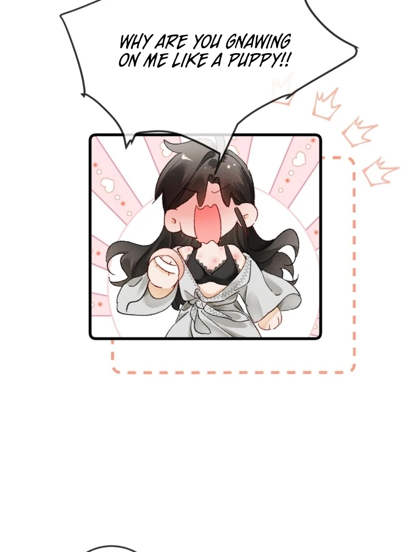 I Can’t Escape From My Contract Husband’s Doting Love Chapter 25 287 19