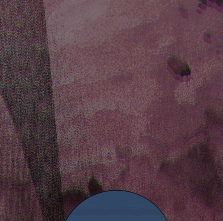 I Can’t Keep up With My Stallion Duke Chapter 145 649 153