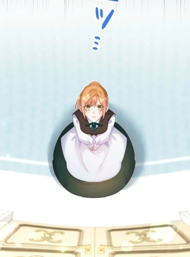 I Committed a One-Night Mistake with the Young Lady? Chapter 14 446 094