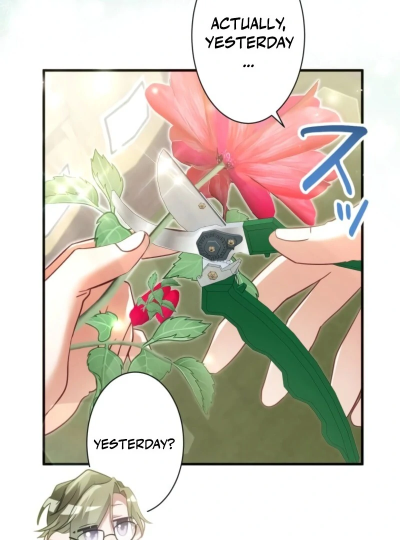 I Committed a One-Night Mistake with the Young Lady? Chapter 19 365 73