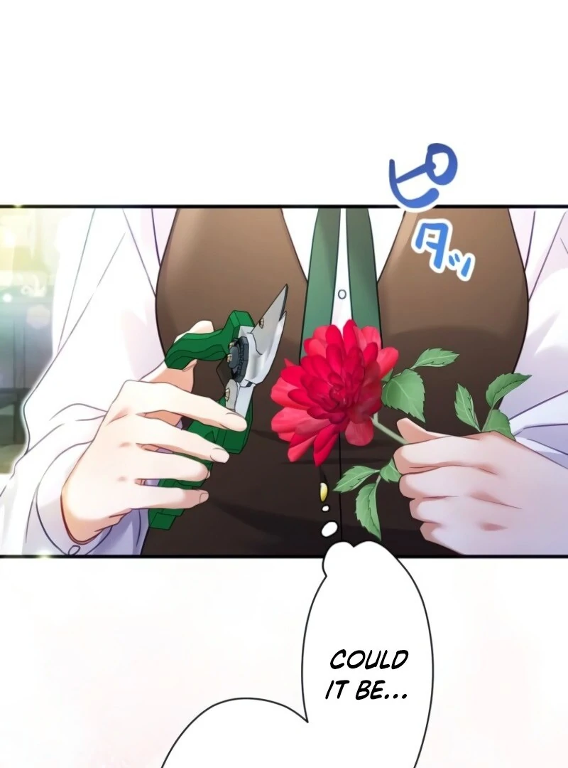 I Committed a One-Night Mistake with the Young Lady? Chapter 19 370 78