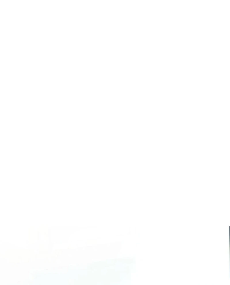 I Committed a One-Night Mistake with the Young Lady? Chapter 26 361 012