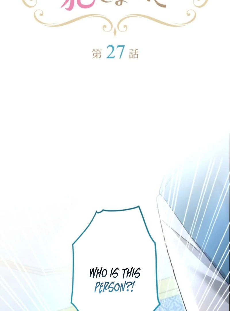 I Committed a One-Night Mistake with the Young Lady? Chapter 27 335 007