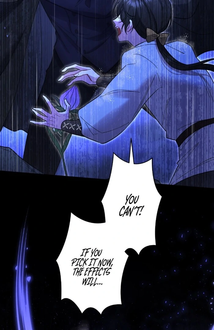 I dedicate my life to revenge Chapter 11 255 ch 11 14