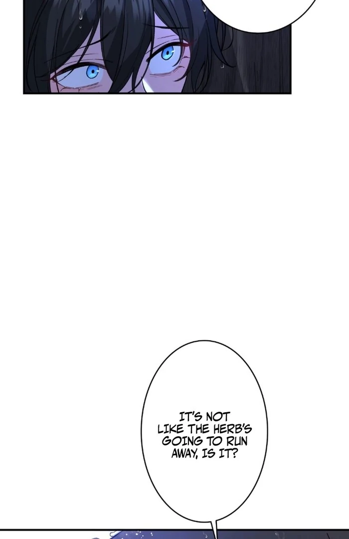 I dedicate my life to revenge Chapter 11 258 ch 11 17