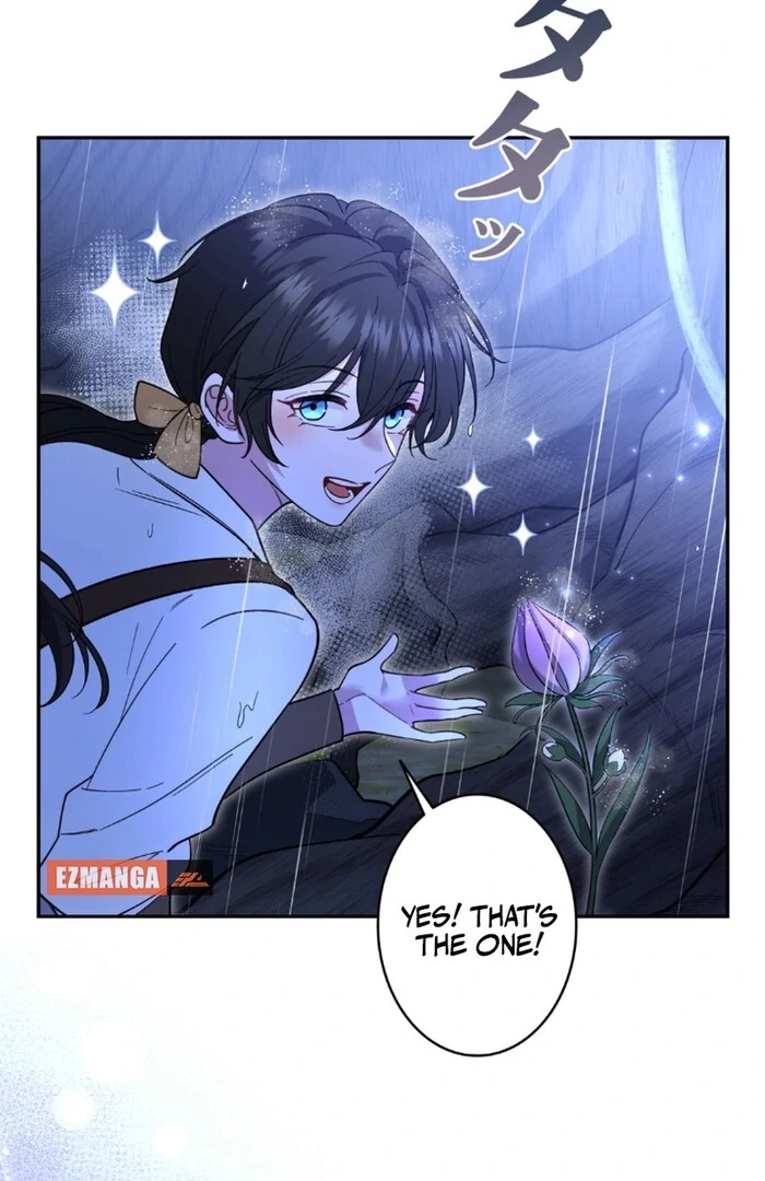 I dedicate my life to revenge Chapter 11 246 ch 11 5