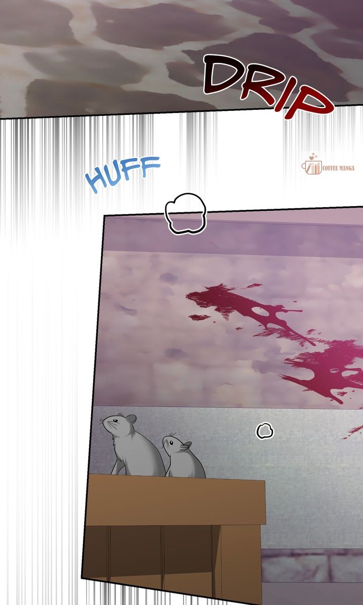 I Don’t Want to Be a Lady Chapter 32 355 ch 32 84