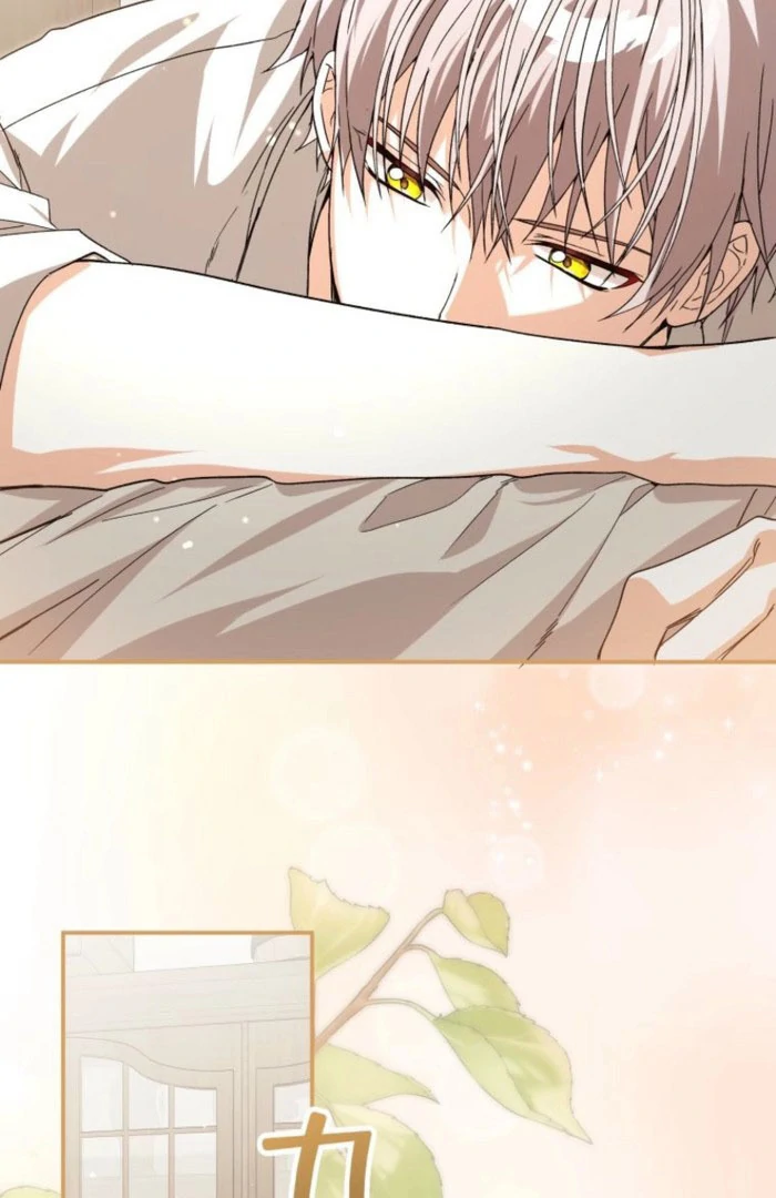 I Ended Up Becoming the Villain’s Personal Chef Chapter 22 493 108