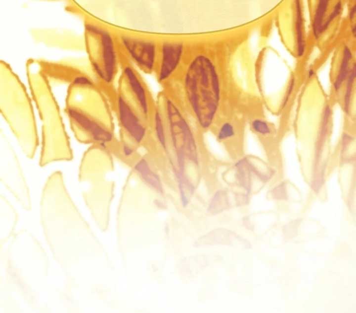 I Hate This Kind Of Reverse Harem Chapter 24 653 112