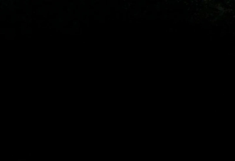 I Hate This Kind Of Reverse Harem Chapter 33 352 012