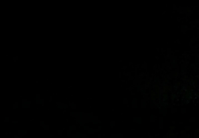 I Hate This Kind Of Reverse Harem Chapter 33 363 023