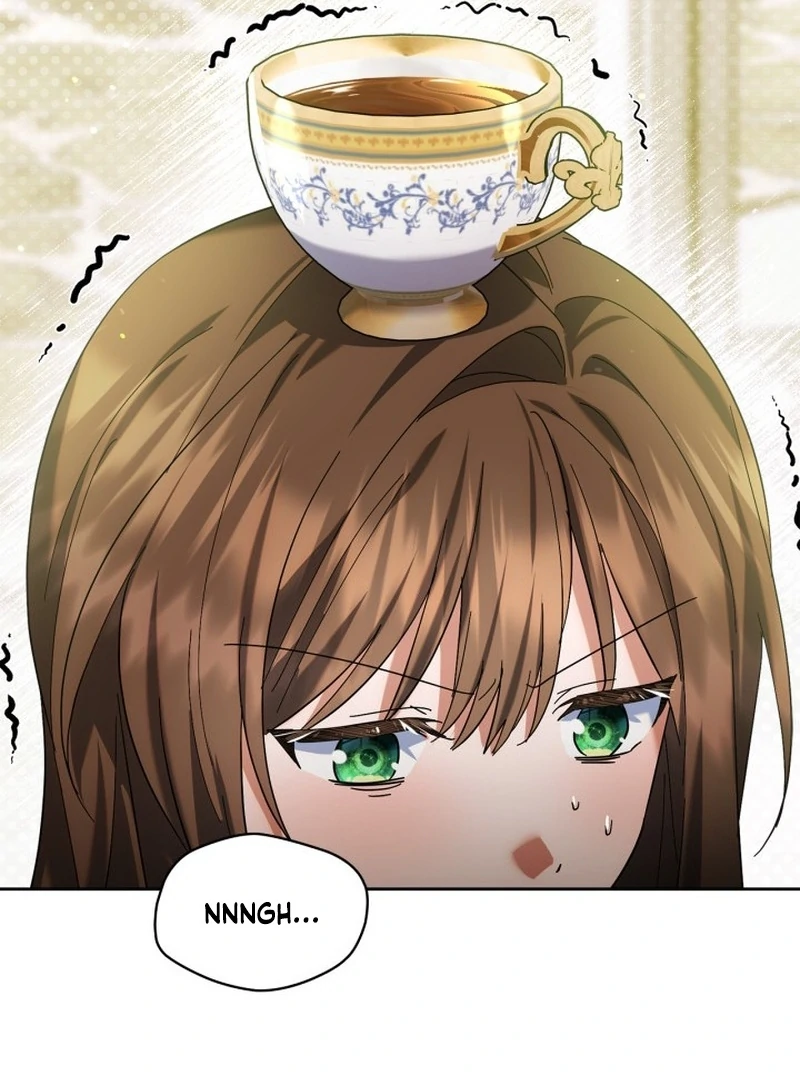 I Hired a Villain as My Housekeeper Chapter 30 429 077