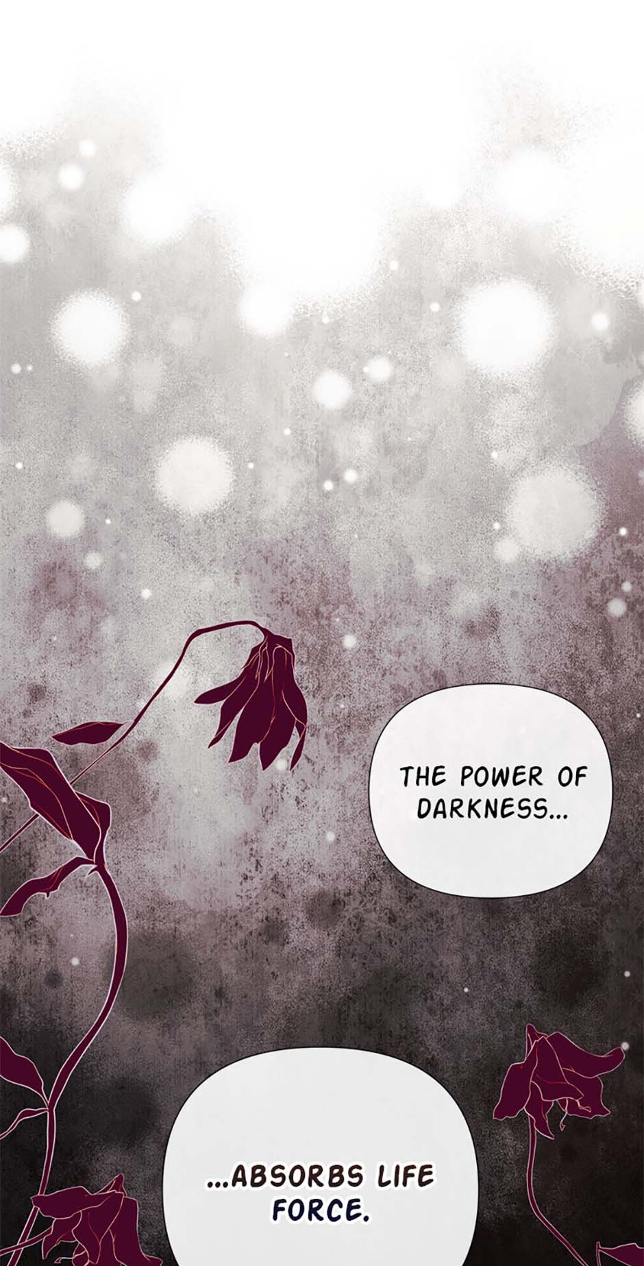 I Mistook the Hidden Identity of the Sub Male Lead Chapter 79 282 ch 79 50