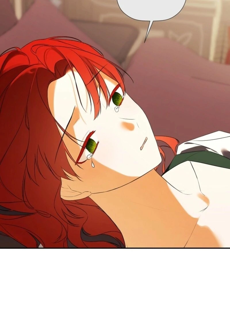 I Mistook the Hidden Identity of the Sub Male Lead Chapter 93 480 ch 93 20