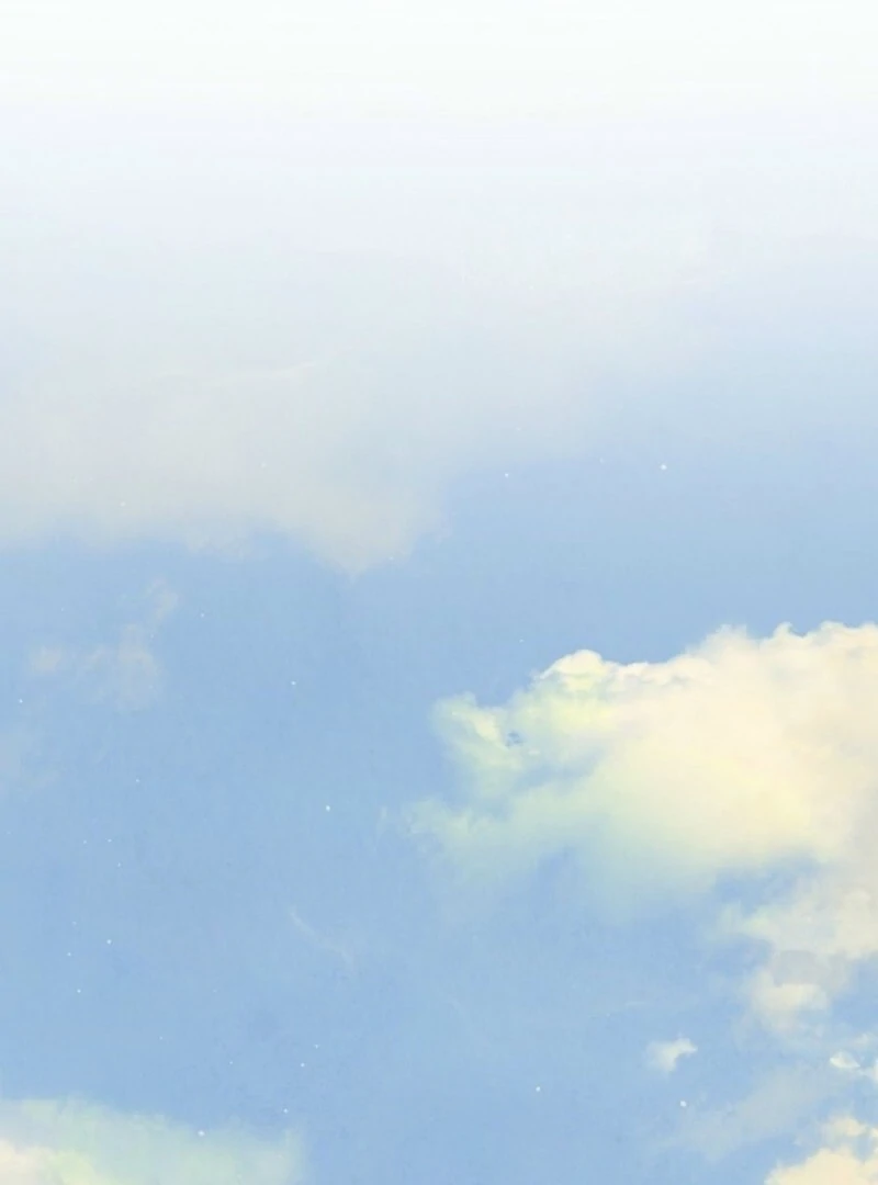 I Mistook the Hidden Identity of the Sub Male Lead Chapter 94 492 ch 94 92