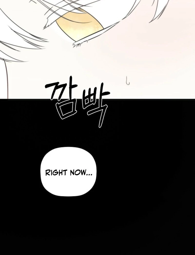 I Mistook the Hidden Identity of the Sub Male Lead Chapter 98 442 057