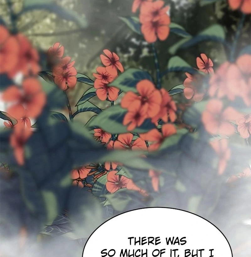 I Need Someone to Stop My Older Brothers Chapter 24 470 067