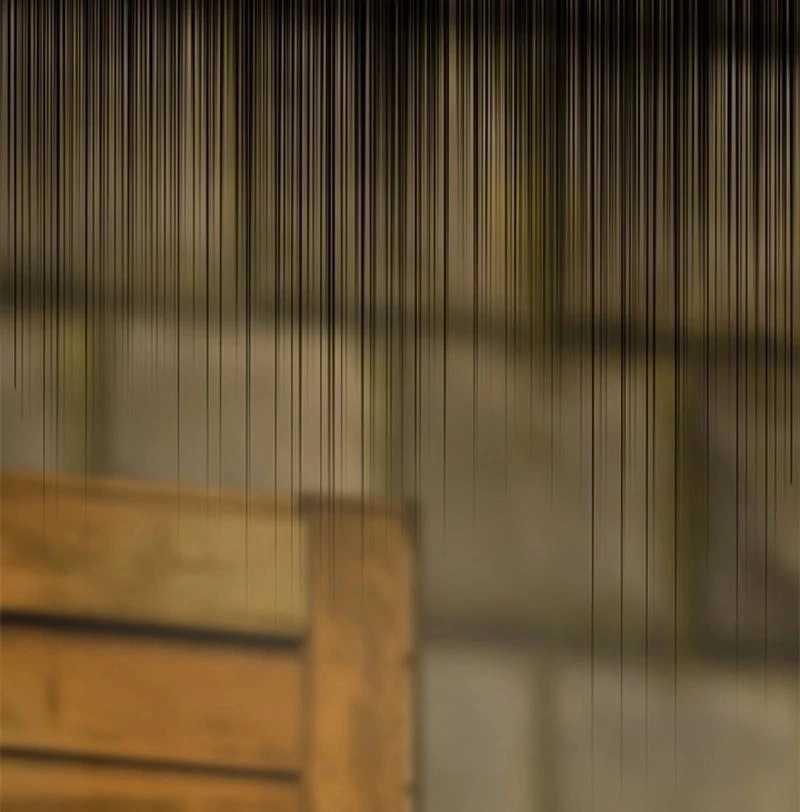 I Need Someone to Stop My Older Brothers Chapter 32 376 012