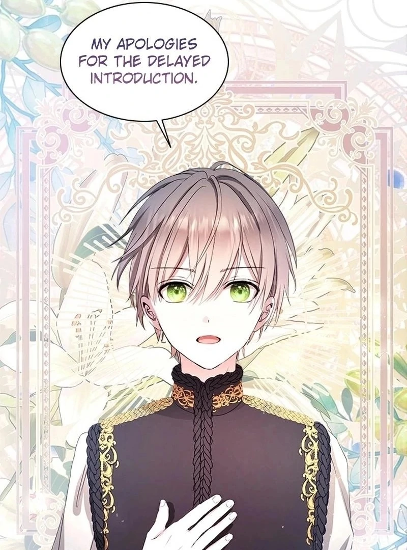 I Need Someone to Stop My Older Brothers Chapter 36 311 22