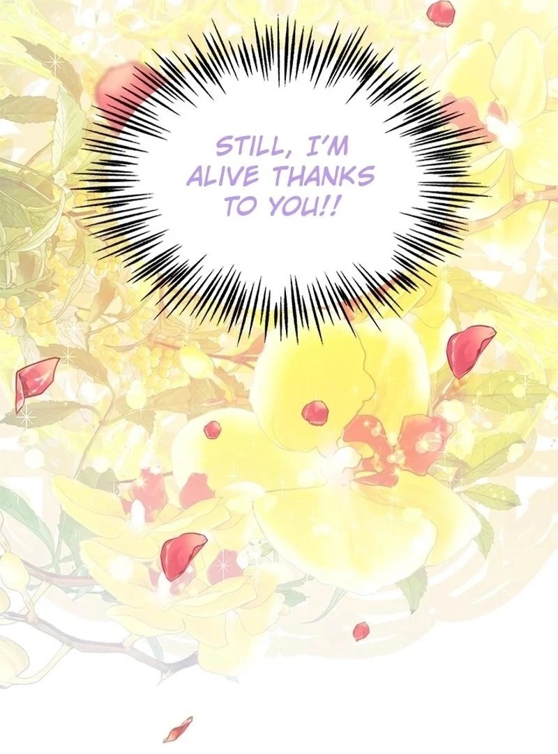 I Need Someone to Stop My Older Brothers Chapter 37 384 041